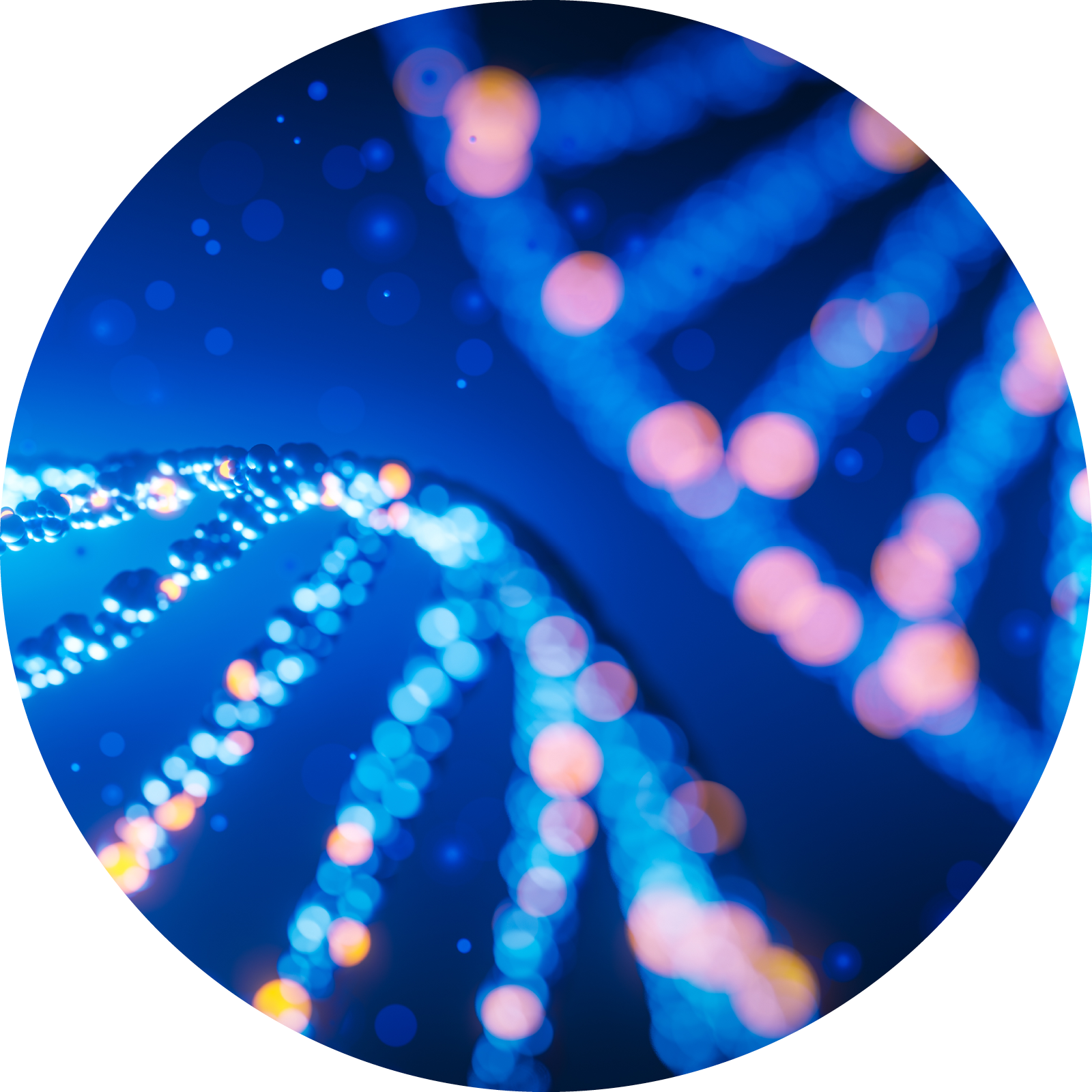 abstract digital dna helix