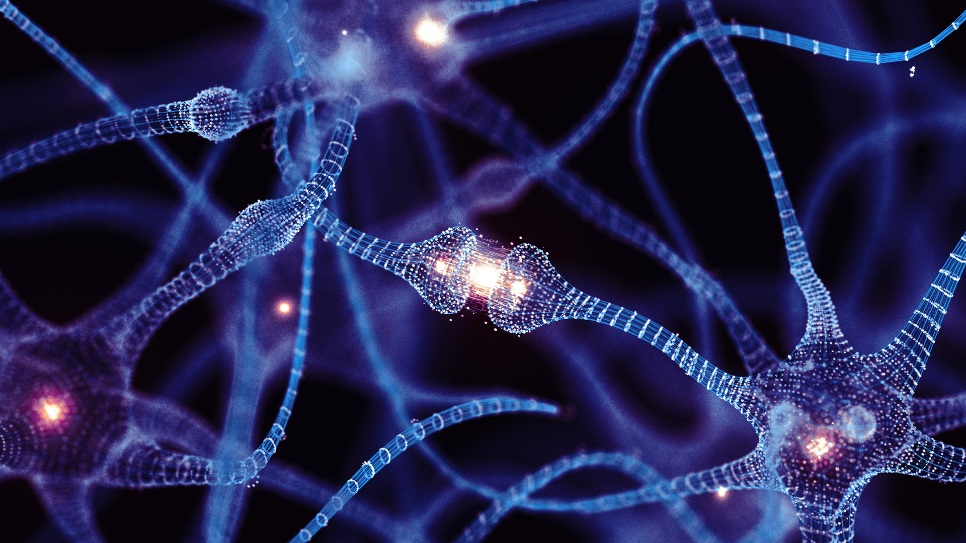 neurons connecting