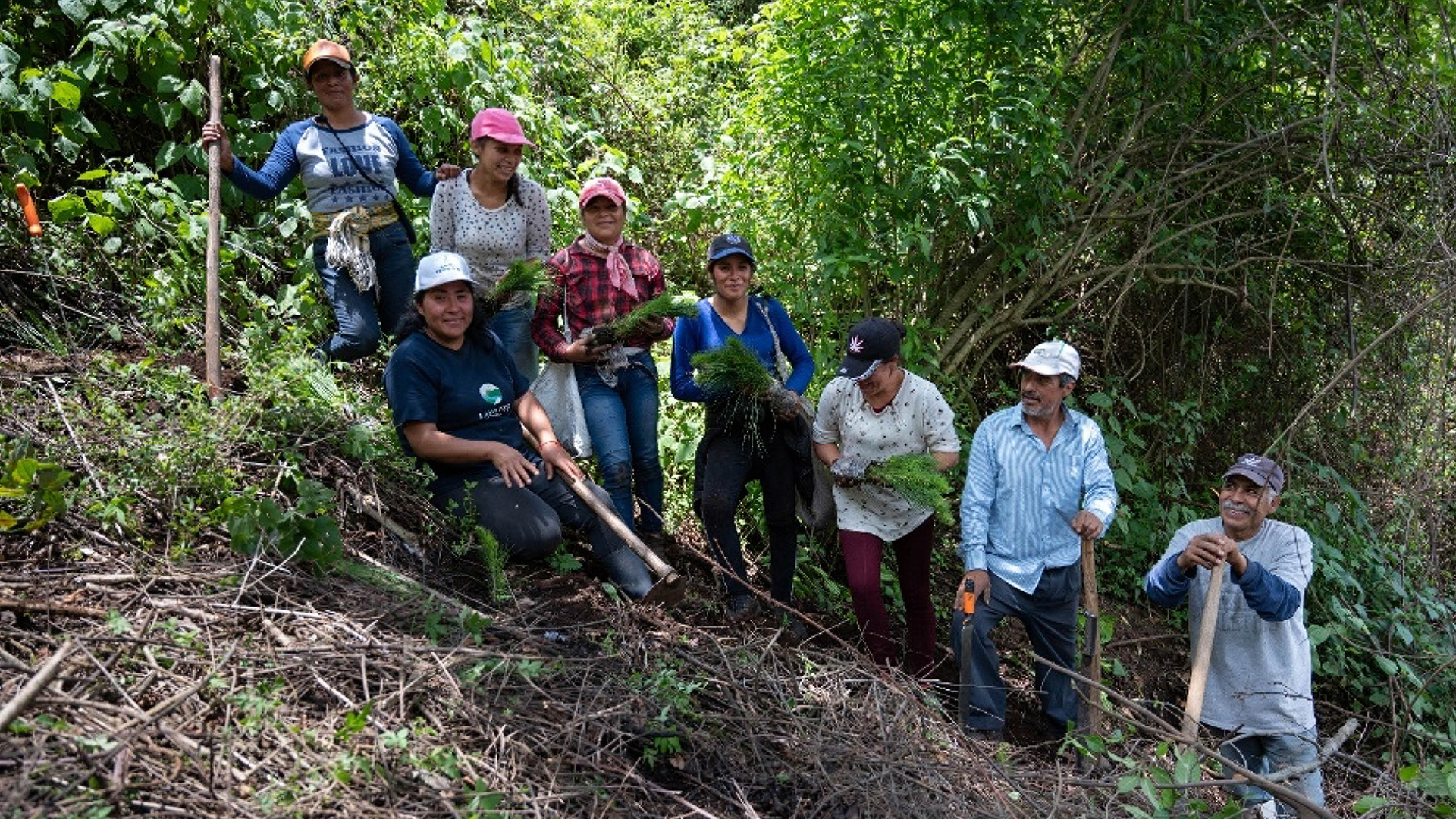 Land Life’s Monarch Butterfly Reserve project in Mexico