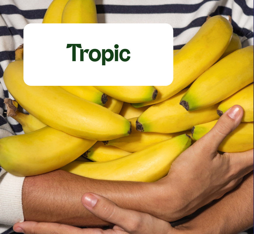 portfolio tropic