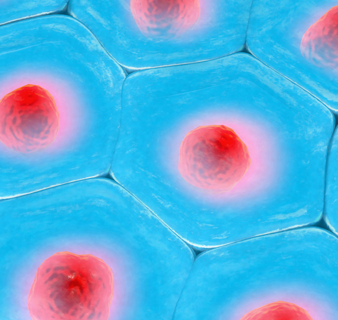 Close up image of blue and red cells
