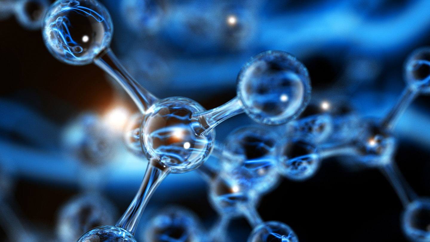 Scientific image
