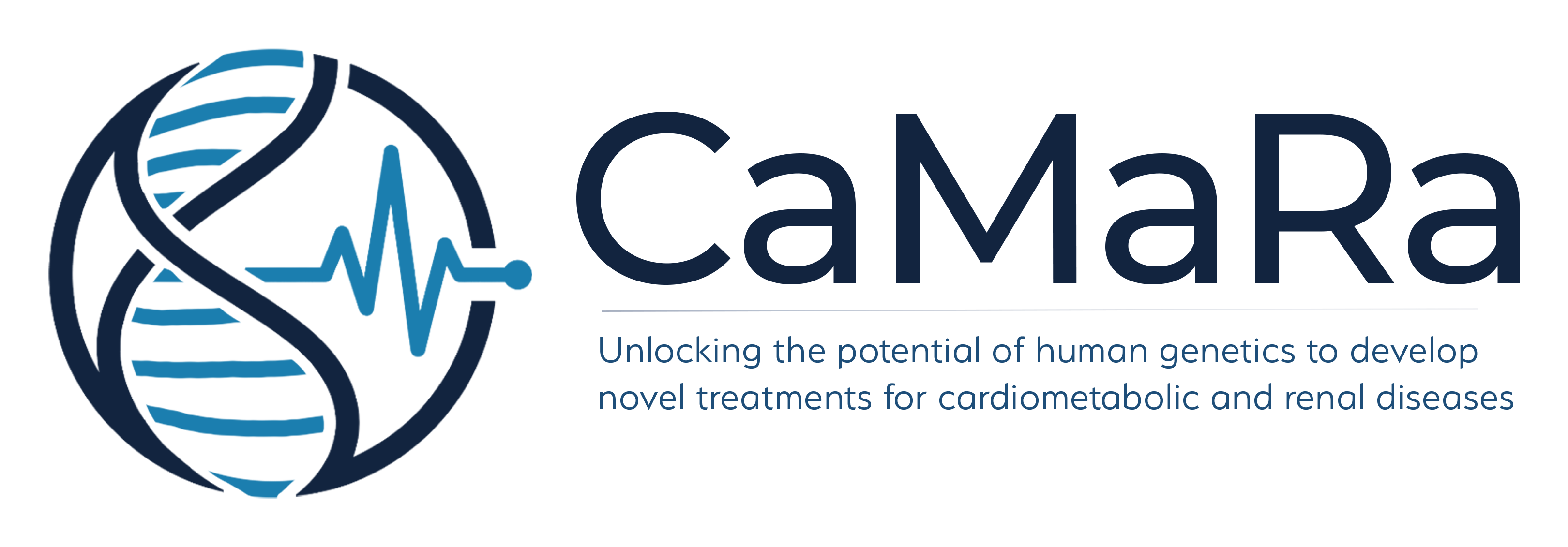 Logo Camara Blue