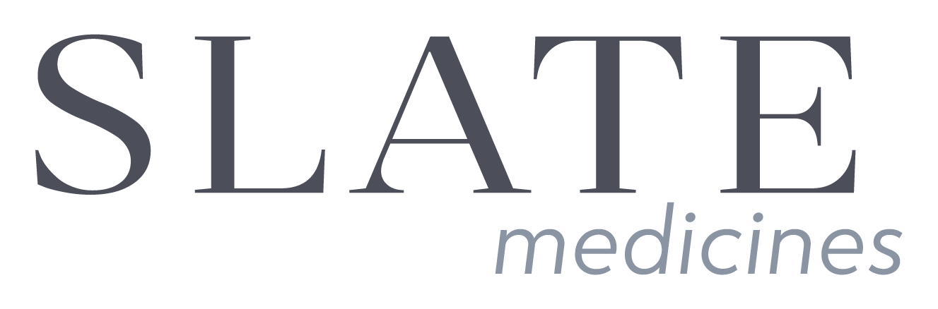 Slatemed Primary Large