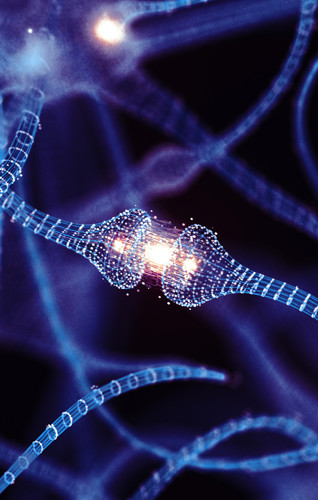 technological detail image of neurons