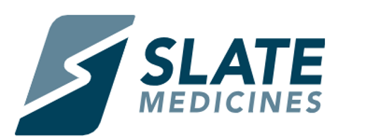 Slate New