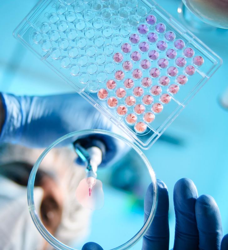 Infectious diseases – lab experiment