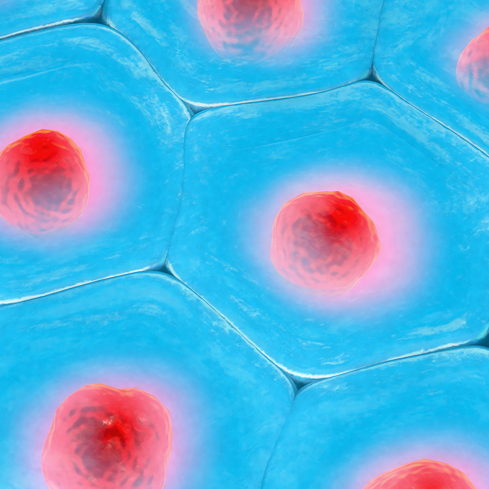 Close up of some cells