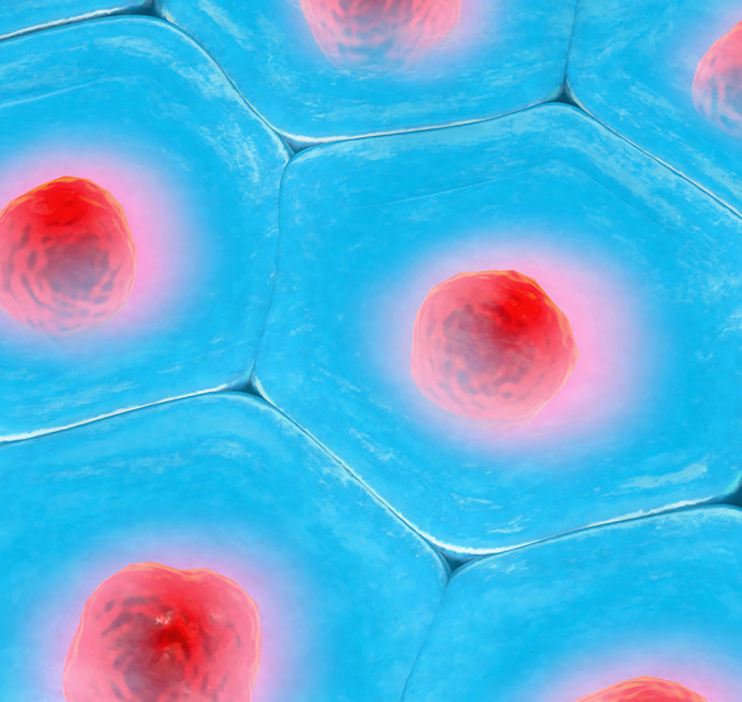 Close up of some cells