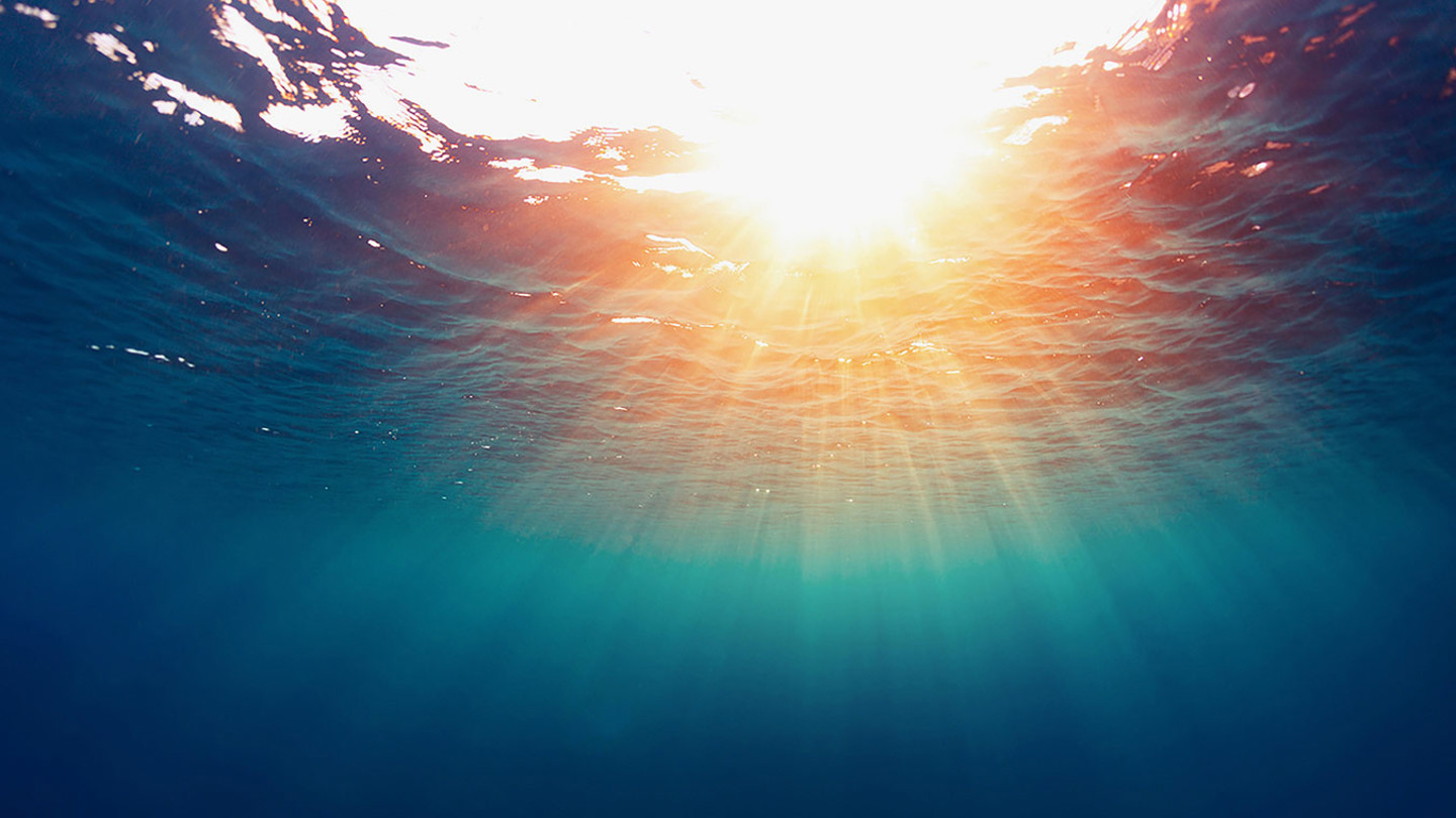 Image under water looking up