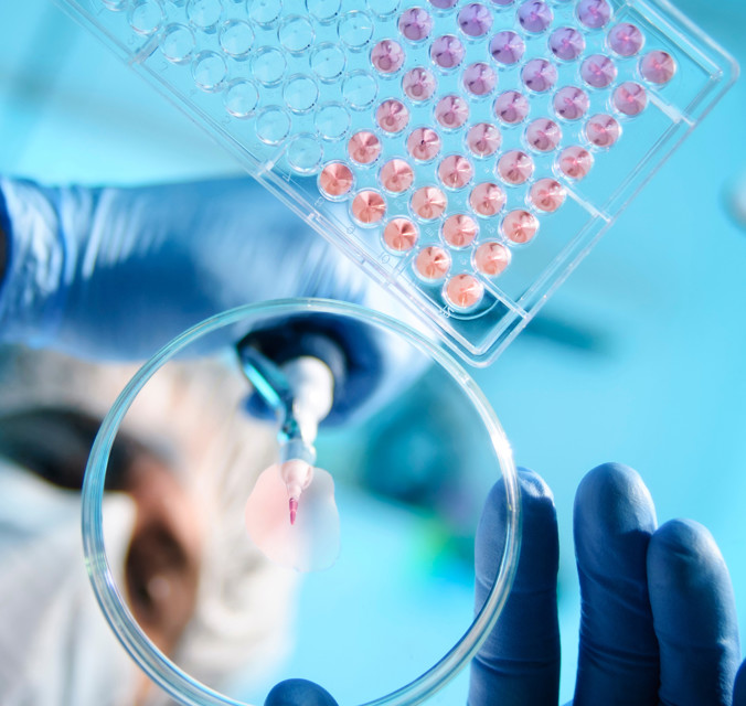 Someone pipetting pink droplets into dish
