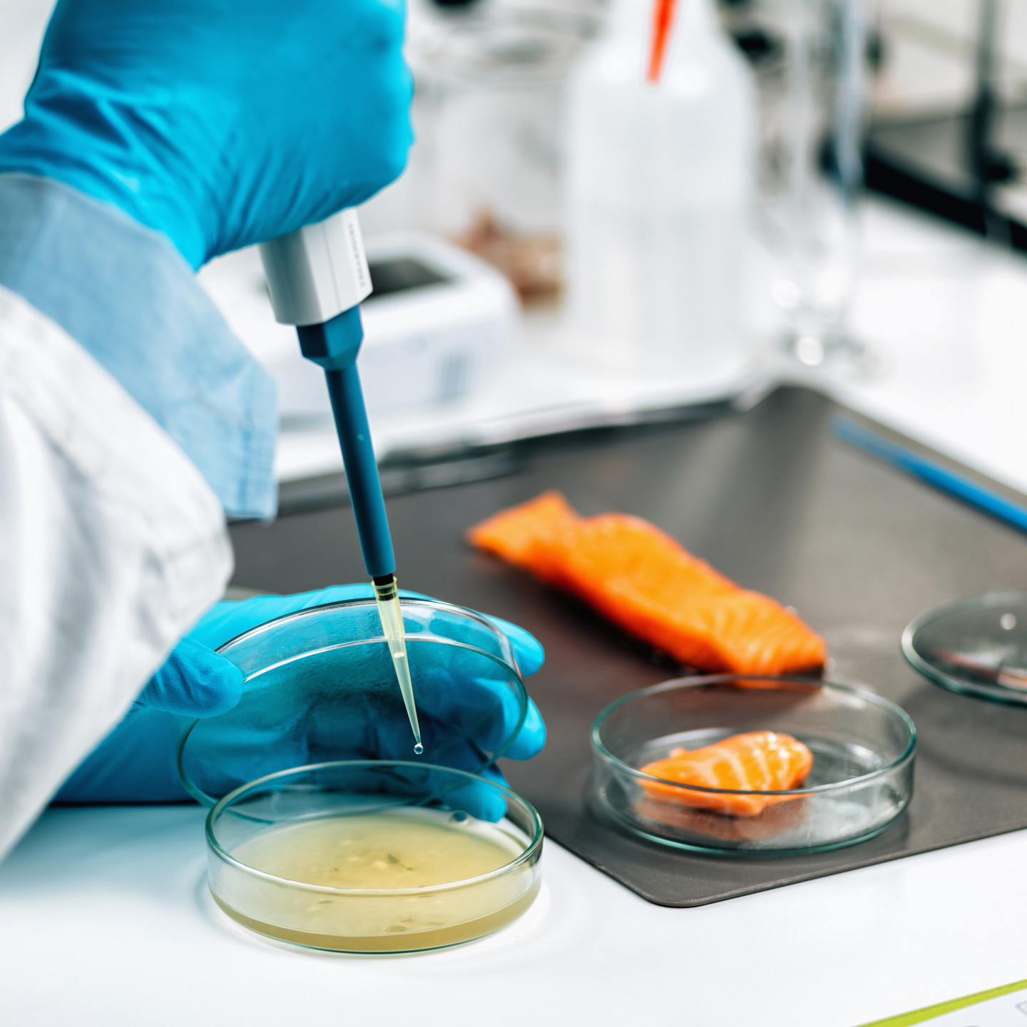 Gloved hands handling a pipette and food in dishes