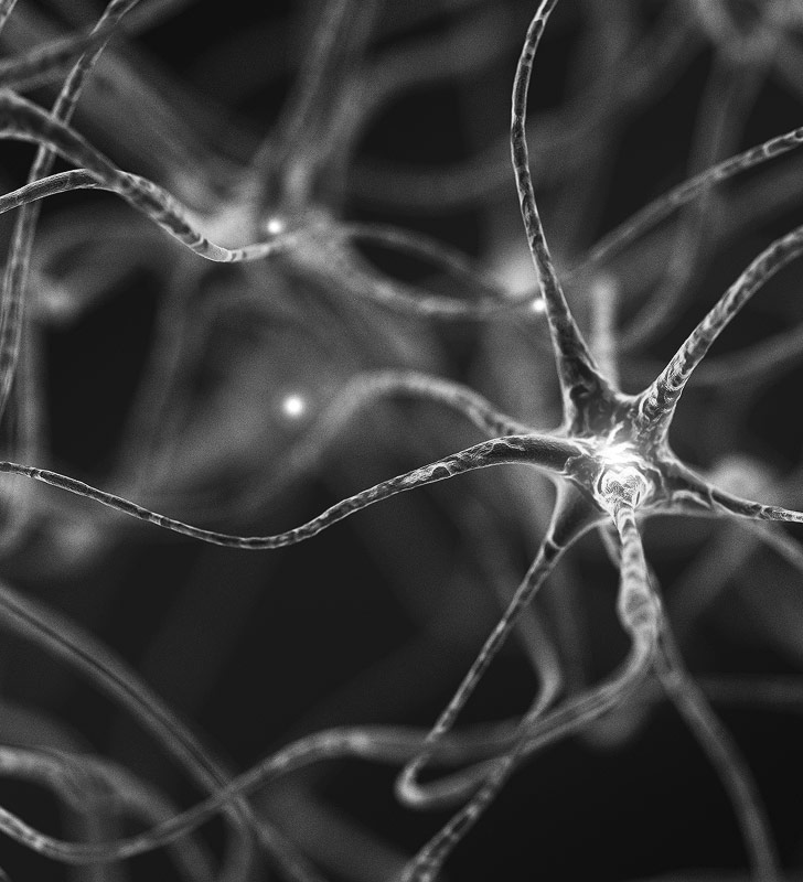 Central Nervous System Image