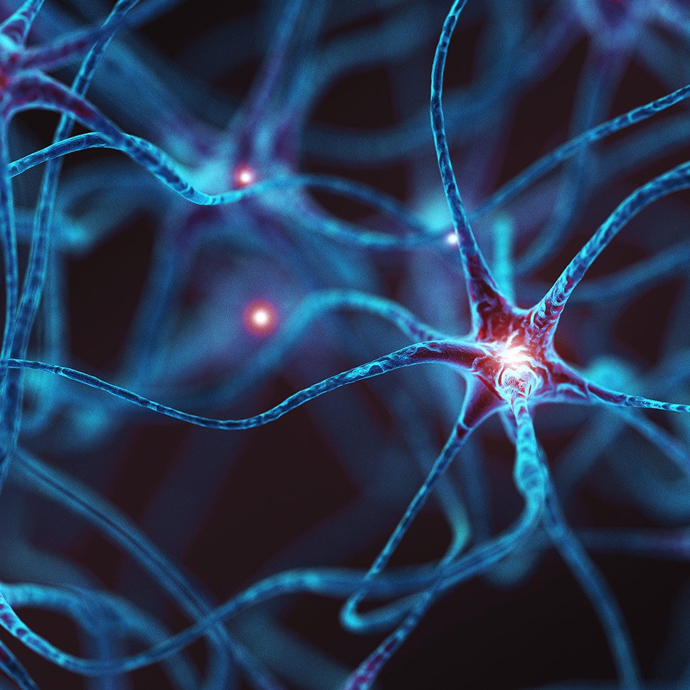 Image of Central Nervous System