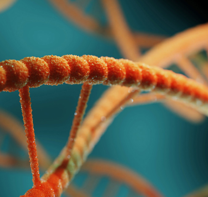 CLose up of digital dna image