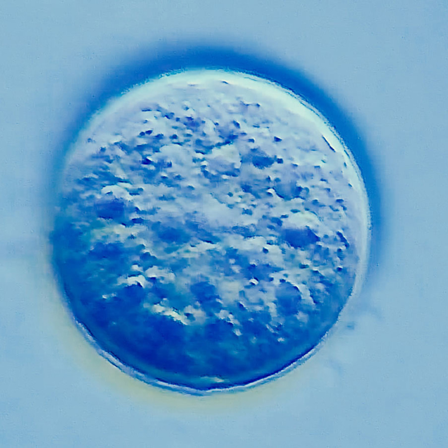 Close up image in microscope